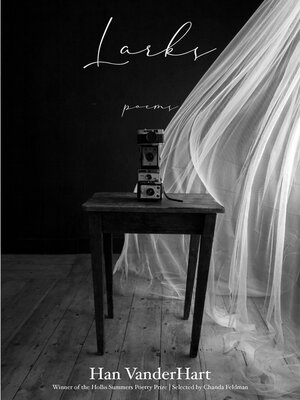 cover image of Larks